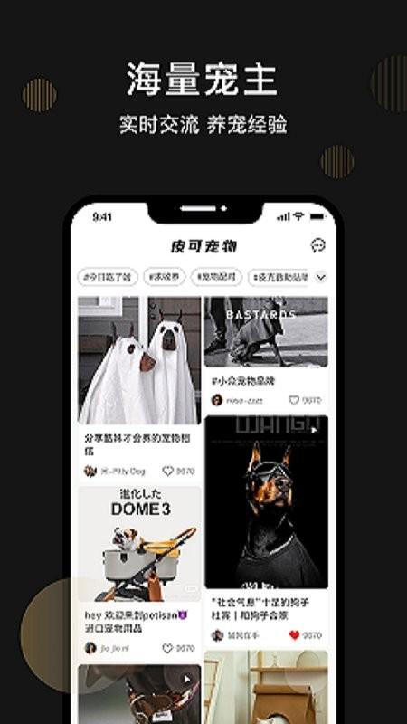 皮可宠物app下载,皮可宠物,宠物app,社区app