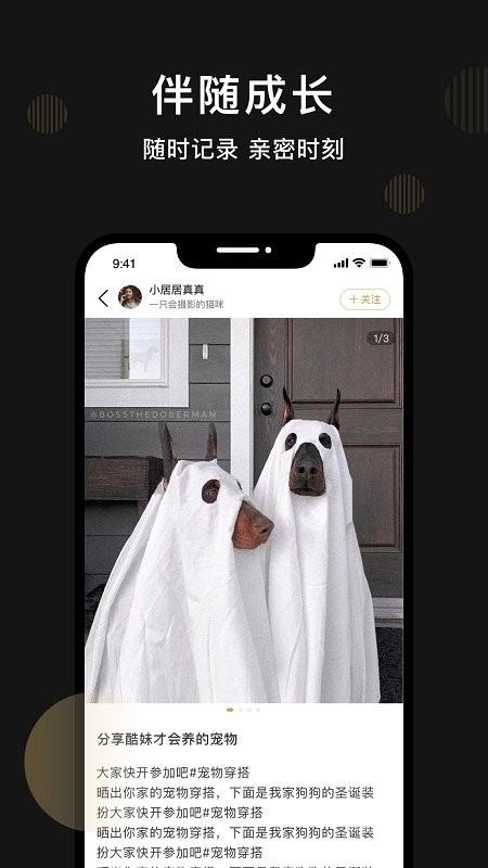 皮可宠物app下载,皮可宠物,宠物app,社区app