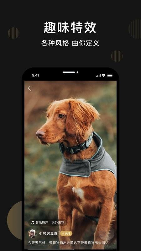 皮可宠物app下载,皮可宠物,宠物app,社区app